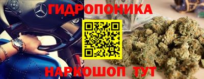 мяу мяу мука Бугуруслан