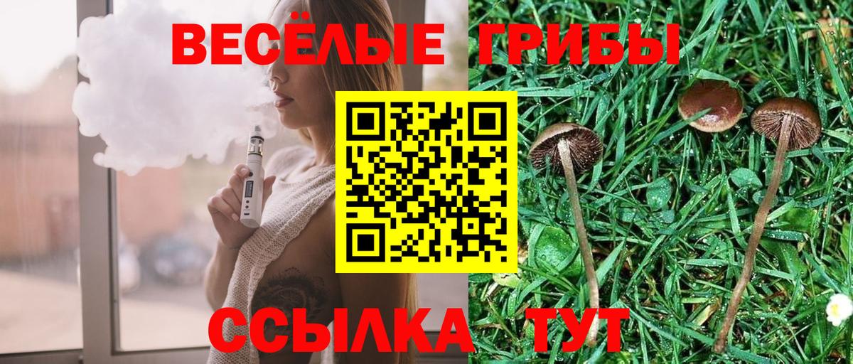 Комсомольск-на-Амуре  Псилоцибиновые грибы Cubensis  Псилоцибиновые грибы мицелий  Вход с VPN 